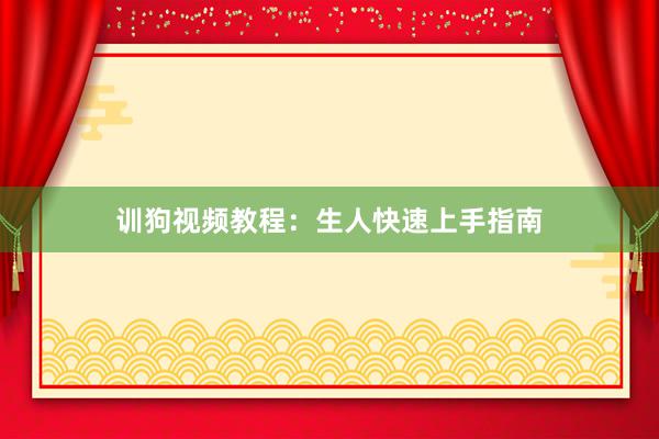 训狗视频教程：生人快速上手指南